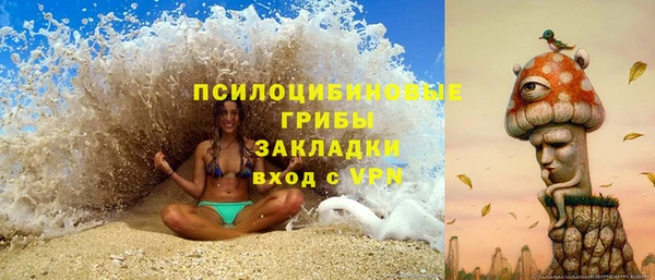 метадон Алексин
