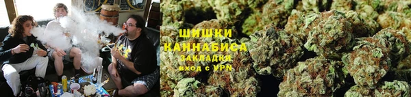метадон Алексин